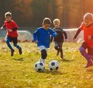 杏彩体育平,台官网入口,资讯,杏彩体育平台官网入口,杏彩体育官方网站,杏彩体育平台首页官网入口,杏彩体育app最新版下载