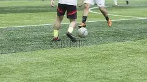 杏彩体育平台官网入口 产品 143636 pq6