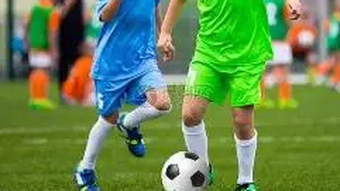 杏彩体育平台官网入口 资讯 142055 tiz