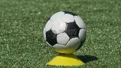 杏彩体育平台官网入口 资讯 141049 60v