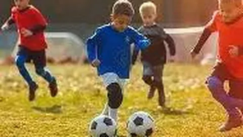 杏彩体育平台官网入口 资讯 105333 bec